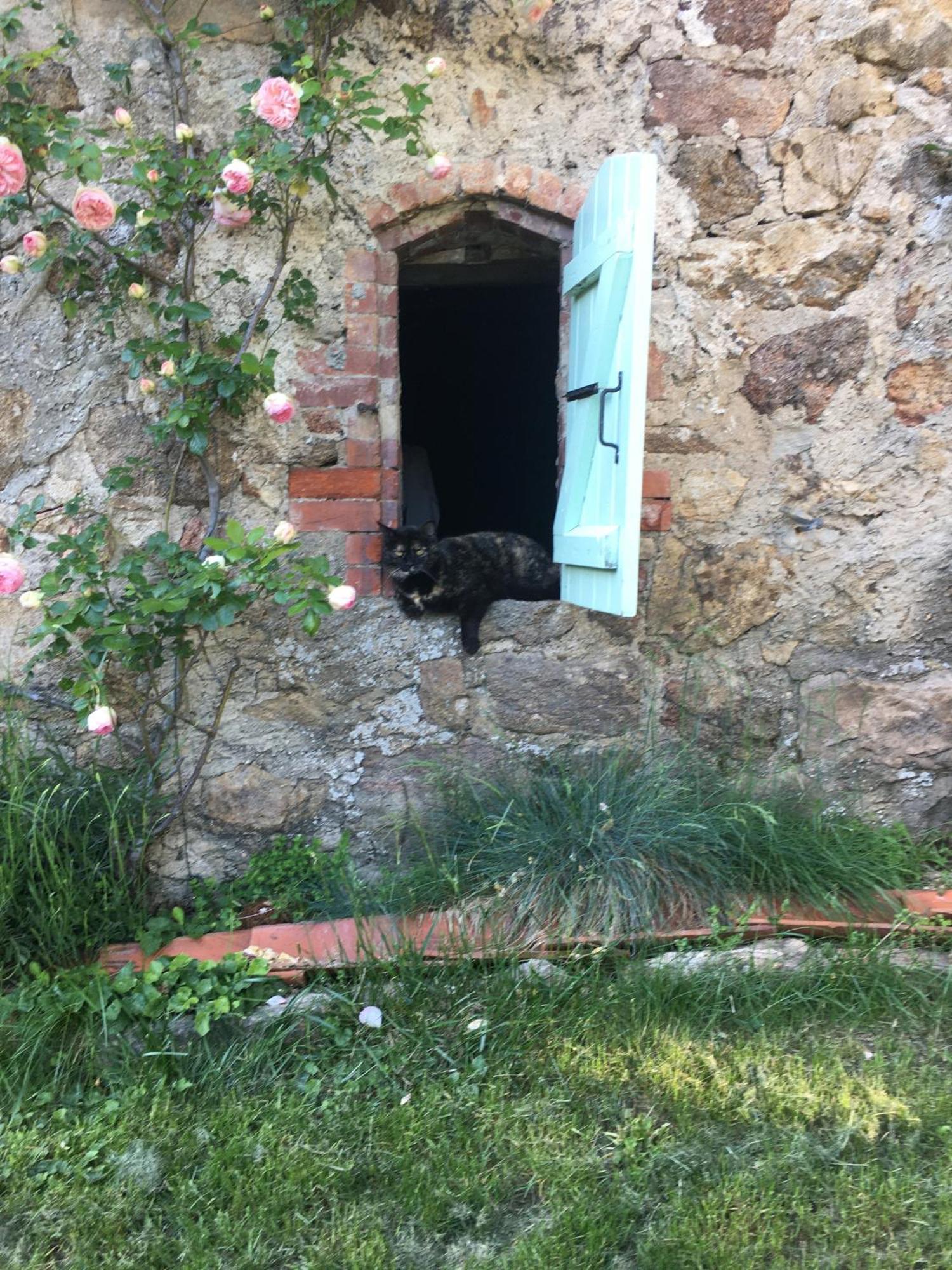 Gites De Gobertier Saint-Alban-d'Ay Extérieur photo